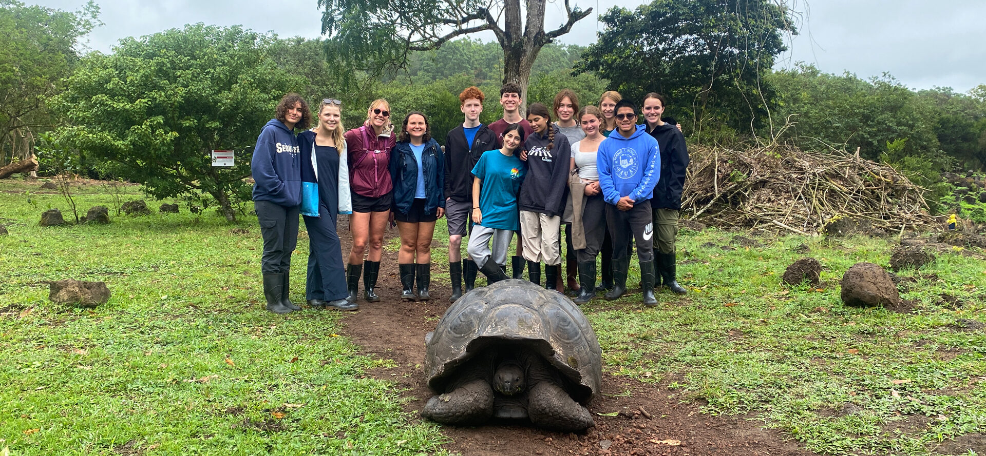 Galapagos-Tortoise