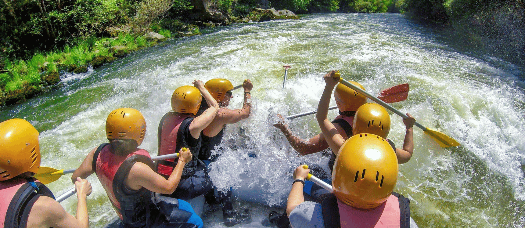 Sum-Yellowstone-banner (3)