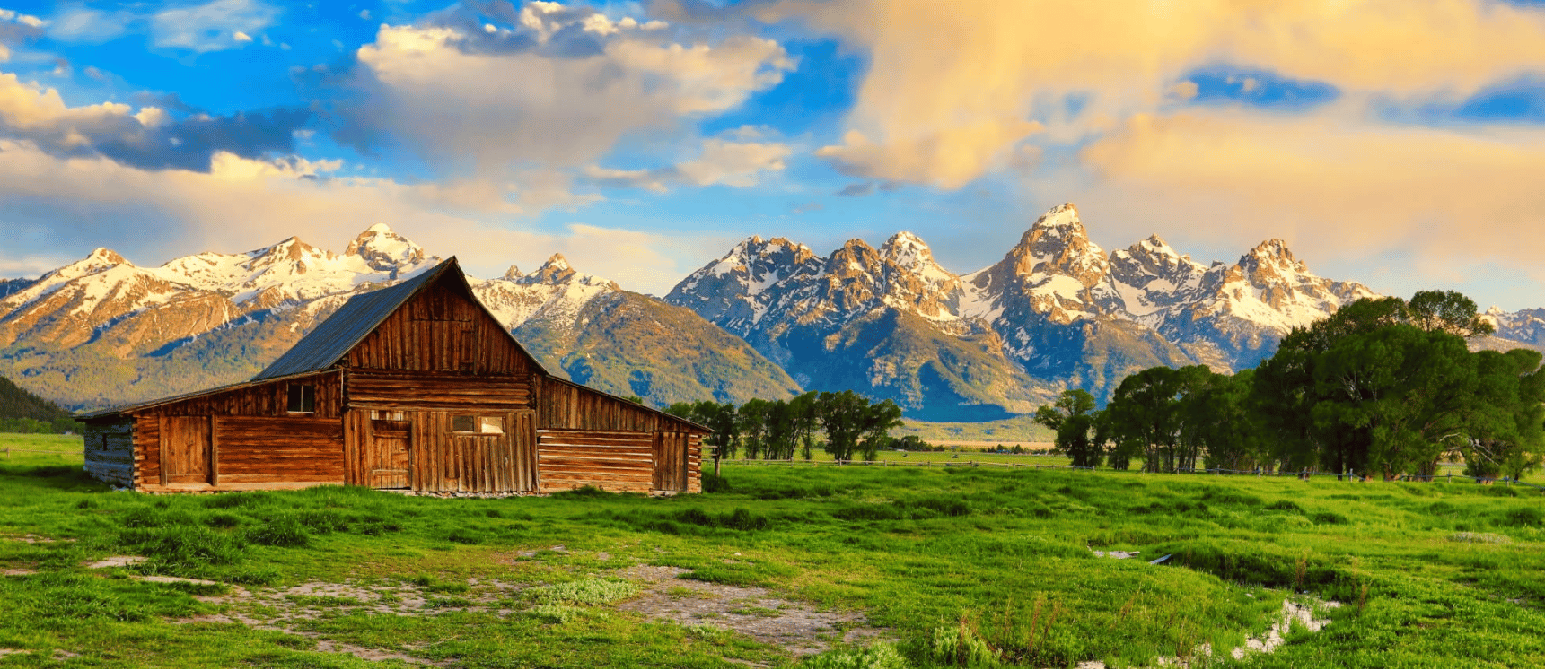 Sum-Yellowstone-banner (4)