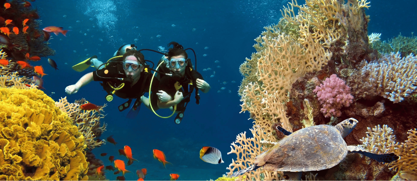 Bali Scuba Diving