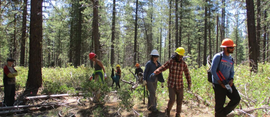 safety first! Students in the woods holding equipment accessorized with hard hats